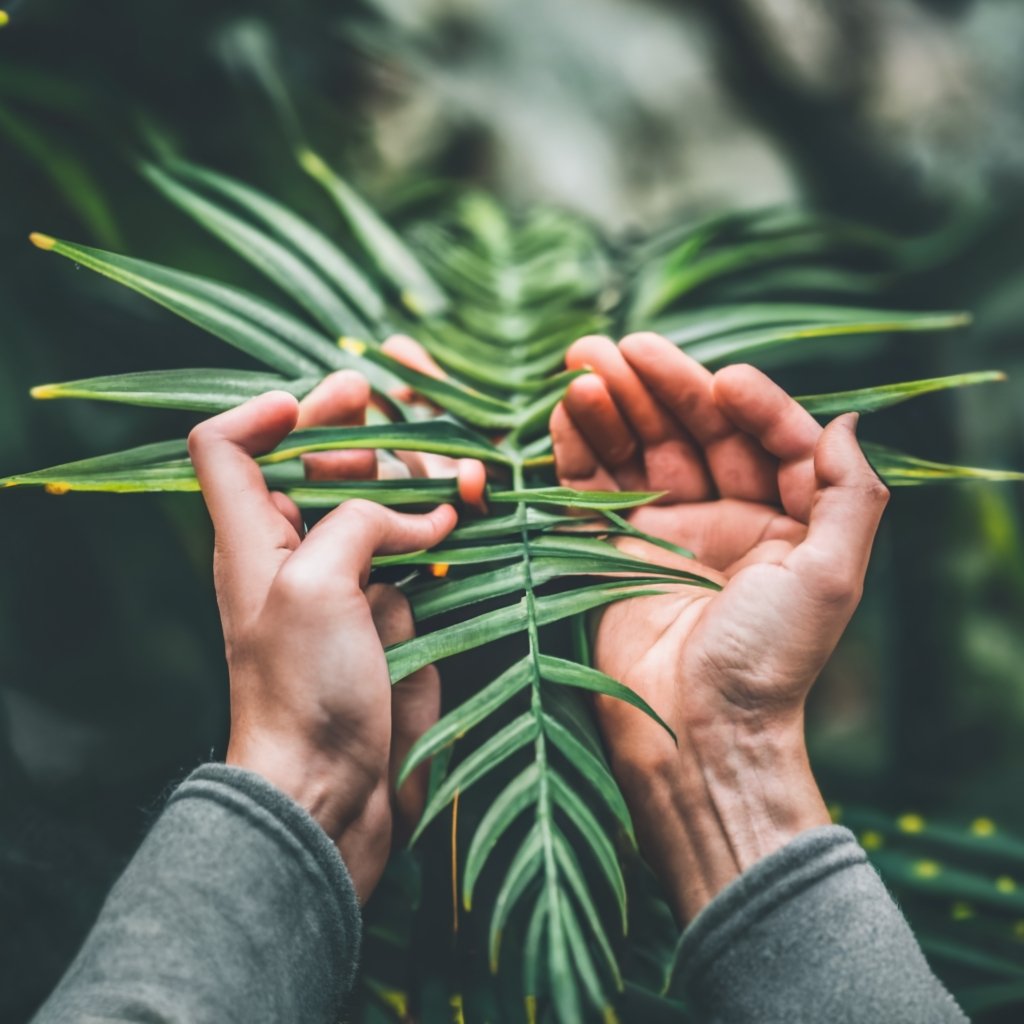 EFT and the Art of Releasing Negative Emotions