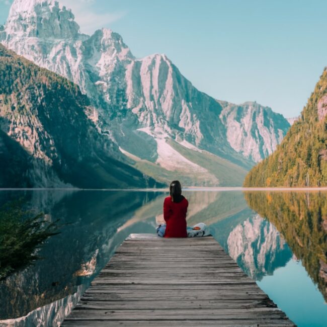 Profesyonel Yaşam Koçluğu